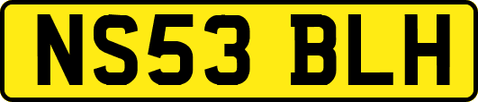 NS53BLH