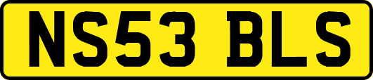 NS53BLS