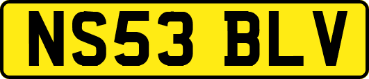 NS53BLV