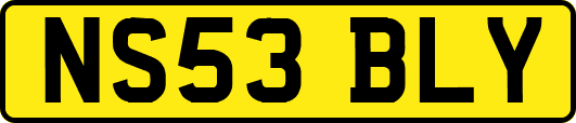 NS53BLY