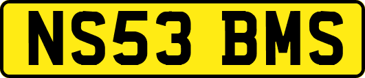 NS53BMS
