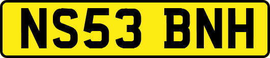 NS53BNH