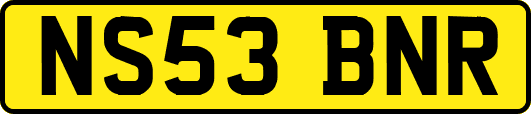 NS53BNR
