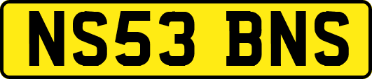 NS53BNS