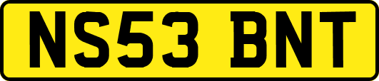 NS53BNT
