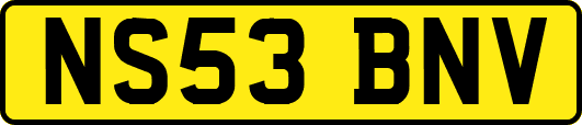 NS53BNV