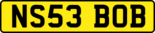 NS53BOB