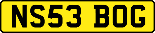 NS53BOG