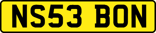 NS53BON
