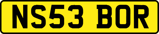 NS53BOR