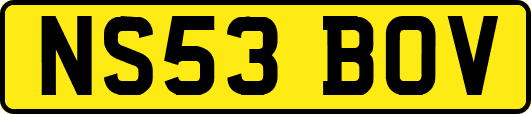 NS53BOV