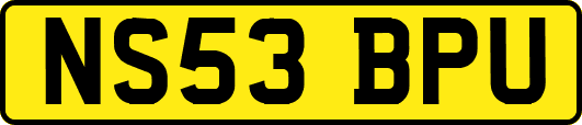 NS53BPU