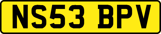 NS53BPV