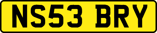 NS53BRY
