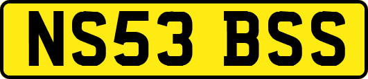 NS53BSS