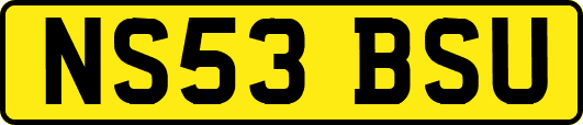 NS53BSU