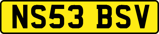 NS53BSV