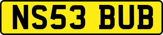 NS53BUB
