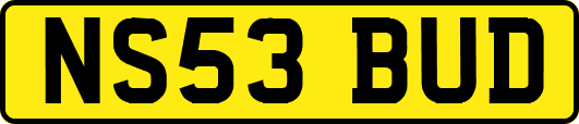 NS53BUD