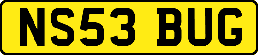 NS53BUG