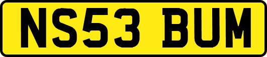 NS53BUM