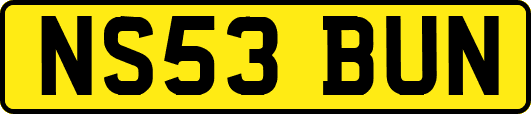 NS53BUN