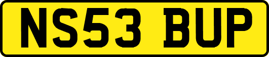 NS53BUP