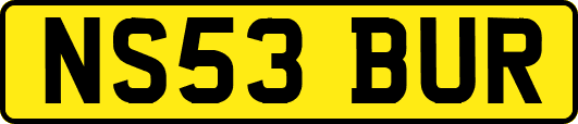 NS53BUR