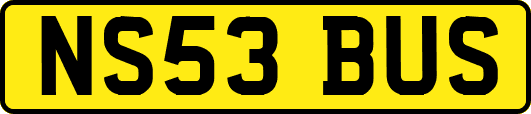 NS53BUS