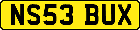 NS53BUX