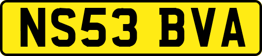 NS53BVA