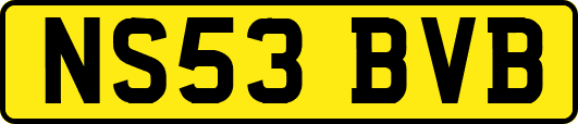 NS53BVB