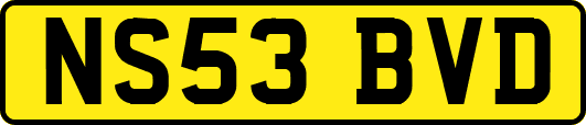 NS53BVD
