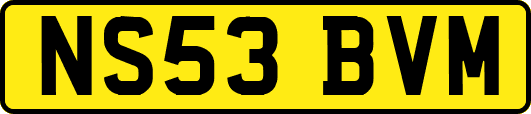 NS53BVM