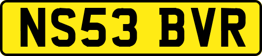 NS53BVR