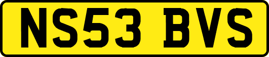 NS53BVS