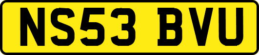 NS53BVU