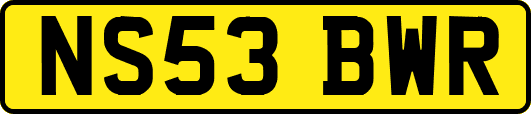 NS53BWR