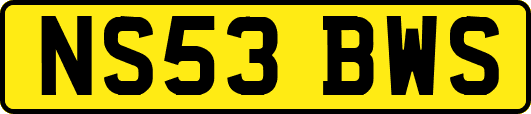 NS53BWS
