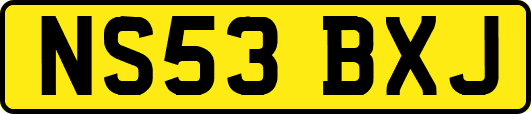 NS53BXJ