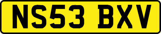 NS53BXV