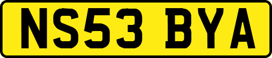 NS53BYA