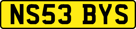 NS53BYS
