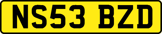 NS53BZD