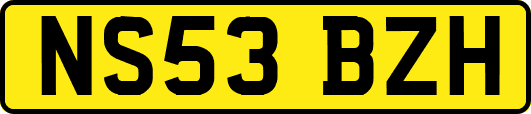 NS53BZH