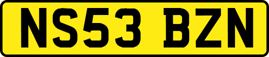 NS53BZN