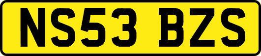 NS53BZS