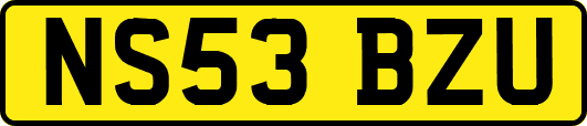 NS53BZU