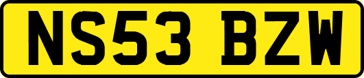 NS53BZW