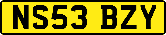 NS53BZY